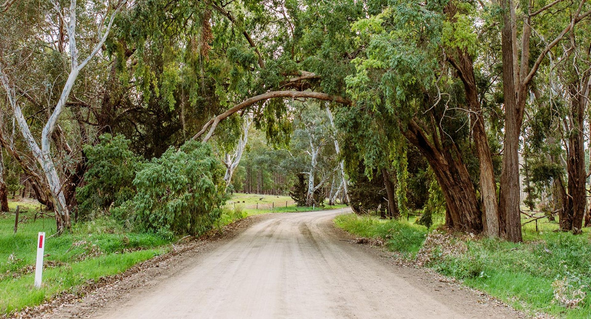 Road